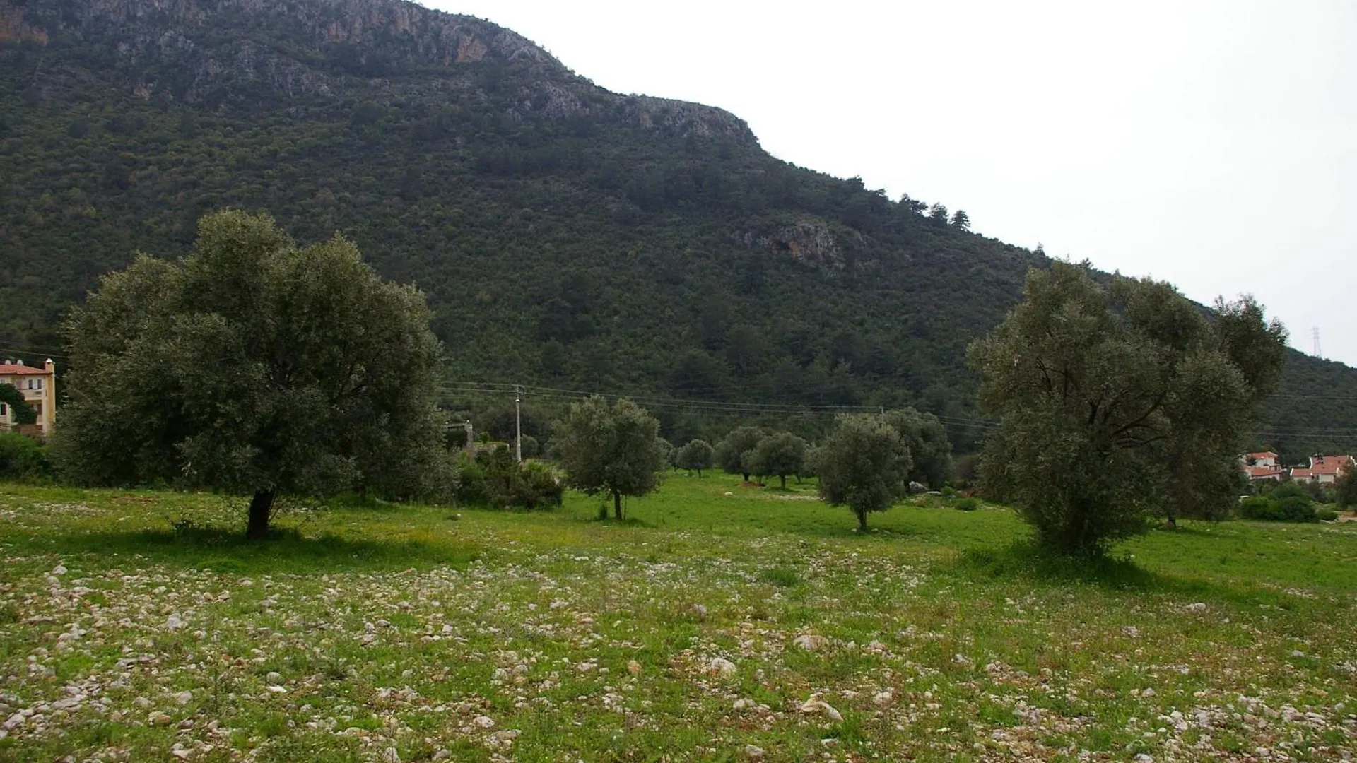 Villa Oludeniz Heights Fethiye