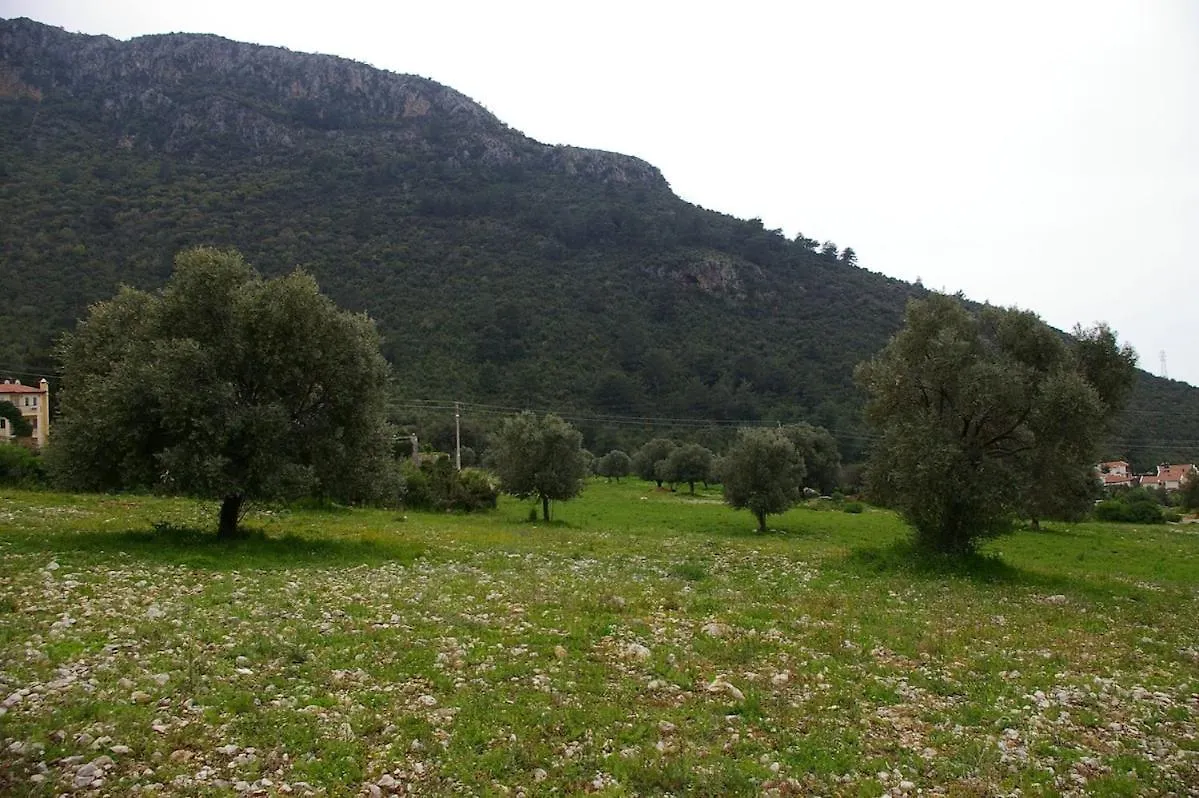 Villa Oludeniz Heights Фетхие